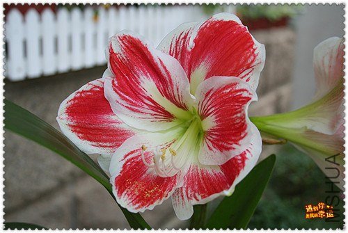 ��Ƭ 005_����.jpg