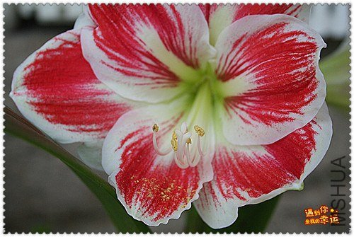 ��Ƭ 007_����.jpg