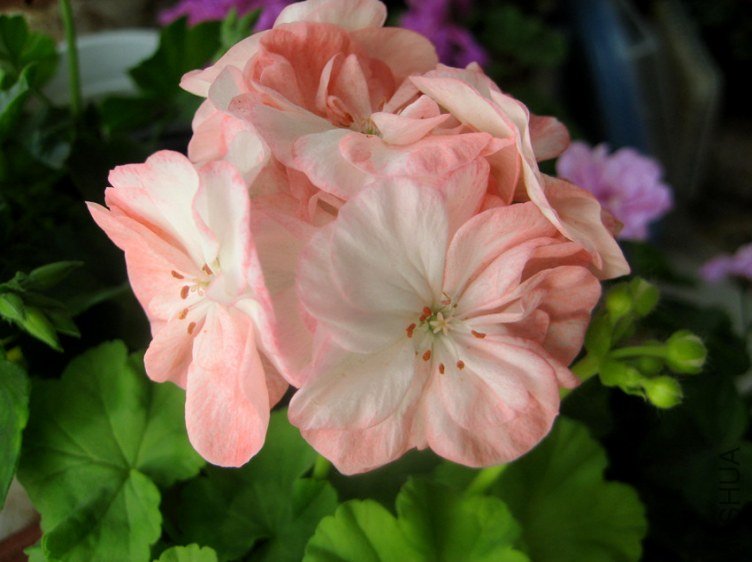 ��Ƭ 147_����.jpg