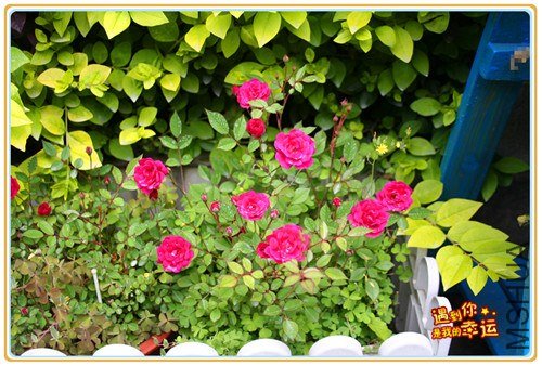 ��Ƭ 001_����.jpg