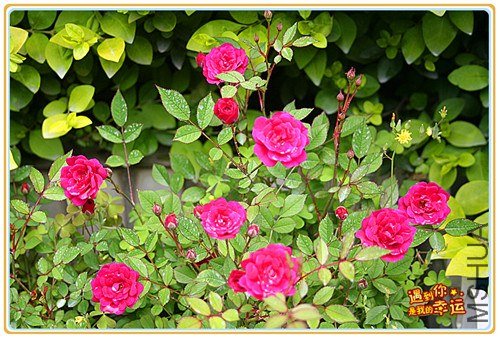 ��Ƭ 002_����.jpg