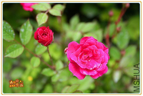 ��Ƭ 003_����.jpg