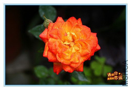 ��Ƭ 007_����.jpg