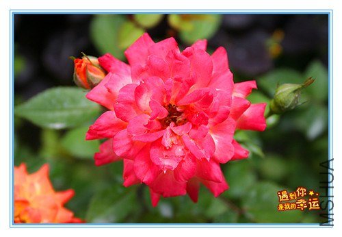 ��Ƭ 009_����.jpg