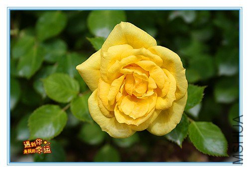 ��Ƭ 013_����.jpg