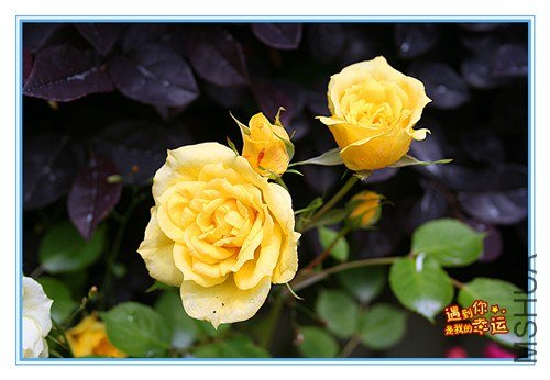 ��Ƭ 014_����.jpg