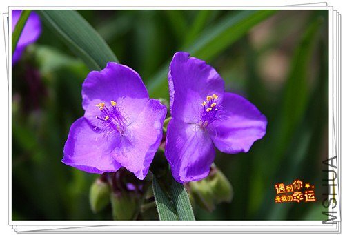 ��Ƭ 048_����.jpg