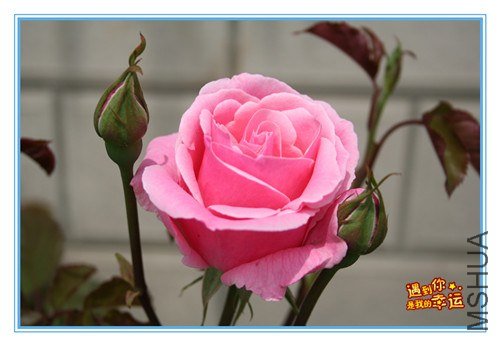 ��Ƭ 052_����.jpg