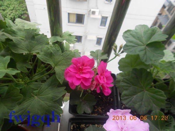 ��Ƭ 157_����.jpg