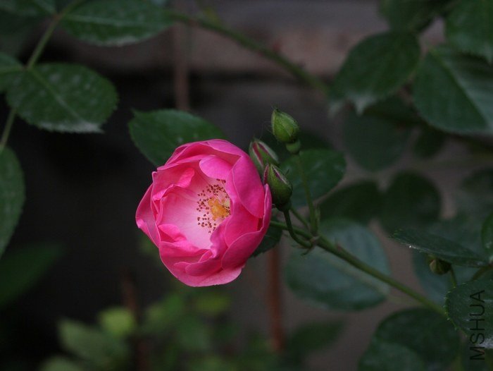 IMG_8439.JPG