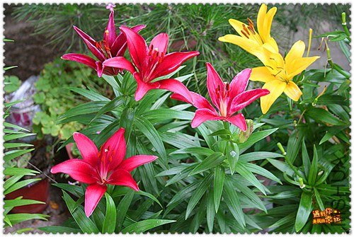 ��Ƭ 001_����.jpg