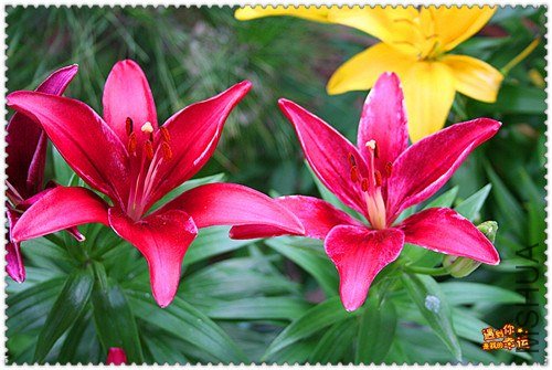 ��Ƭ 004_����.jpg