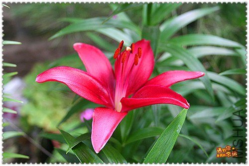 ��Ƭ 005_����.jpg