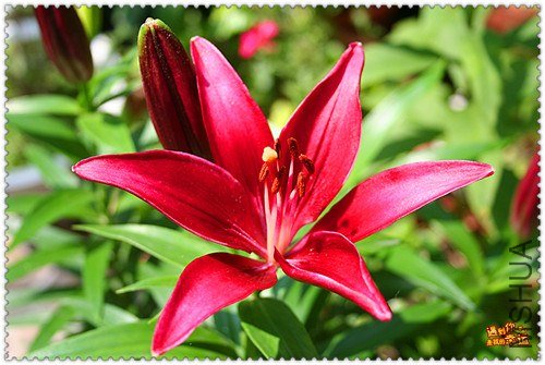 ��Ƭ 006_����.jpg