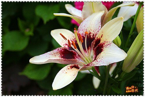 ��Ƭ 010_����.jpg