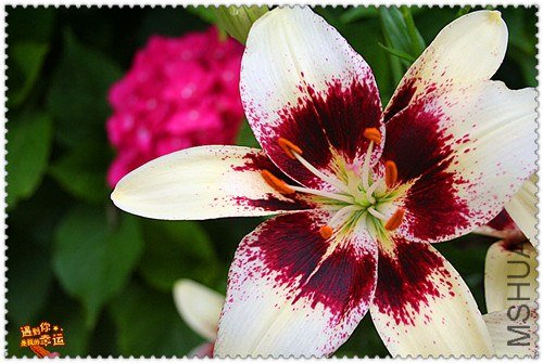 ��Ƭ 014_����.jpg