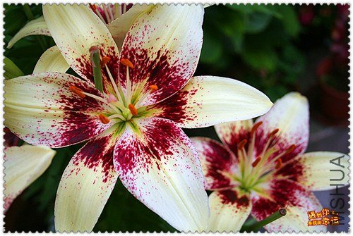 ��Ƭ 016_����.jpg