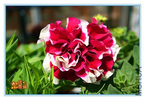 ��Ƭ 064_����.jpg