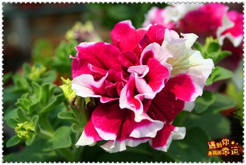 ��Ƭ 102_����.jpg