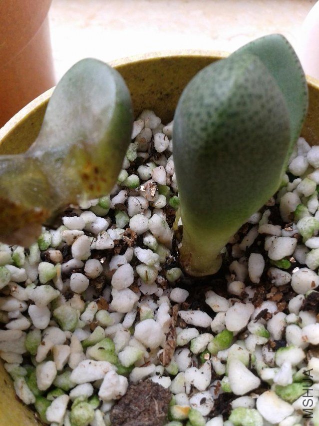 2013-06-08 10.32.01.jpg