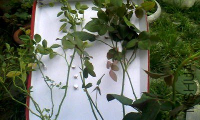 20130608_1223_1.jpg