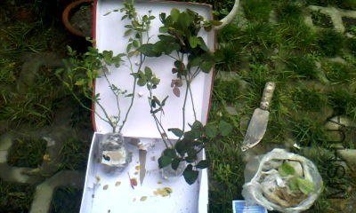 20130608_1223_0.jpg