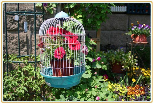 ��Ƭ 013_����.jpg