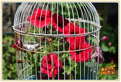 ��Ƭ 014_����.jpg