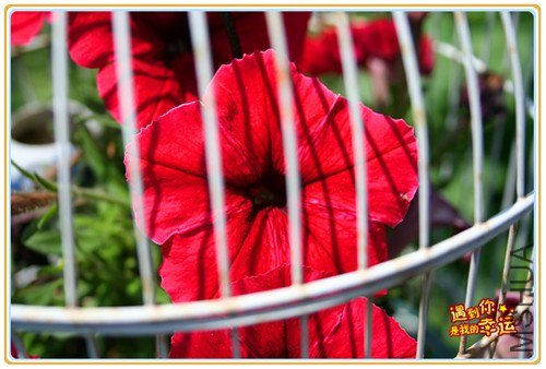 ��Ƭ 016_����.jpg