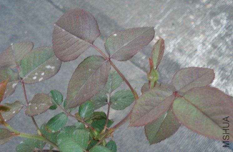 QQͼƬ20130608173650.jpg