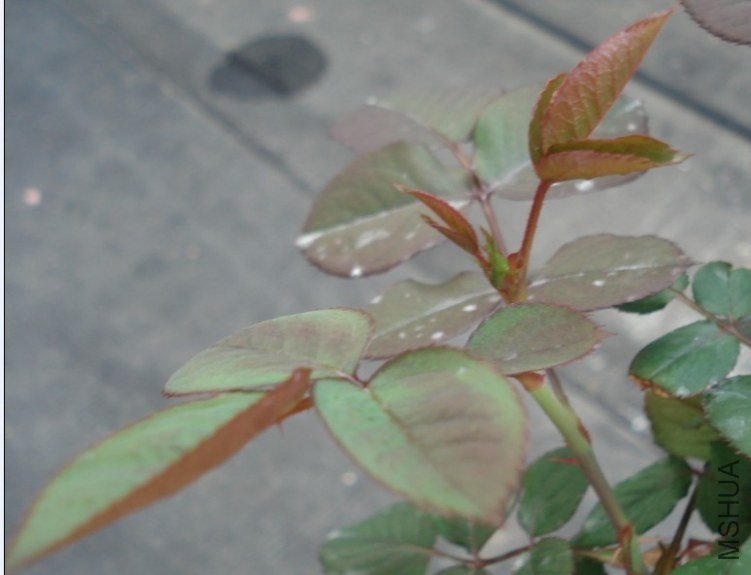 QQͼƬ20130608173708.jpg