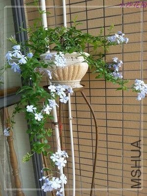 nEO_IMG_20130525_135319.jpg
