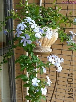 nEO_IMG_20130525_135348.jpg