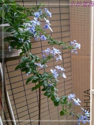 nEO_IMG_20130525_182105.jpg