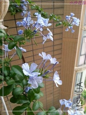 nEO_IMG_20130525_182128.jpg