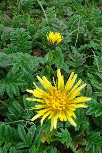 2007��7�� �ѹ�Ӣ��.jpg