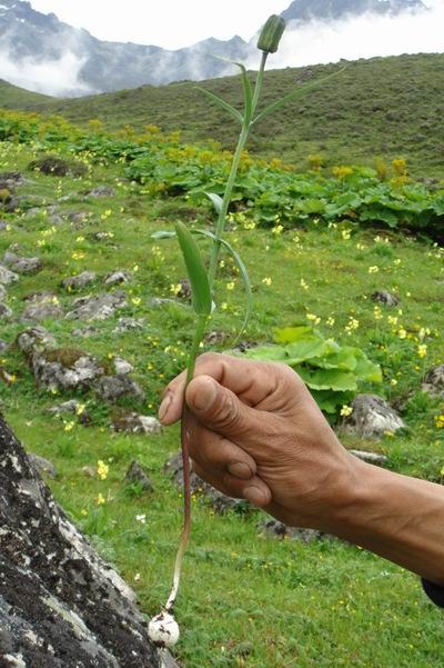 2007��7�� һ�건ĸ.jpg