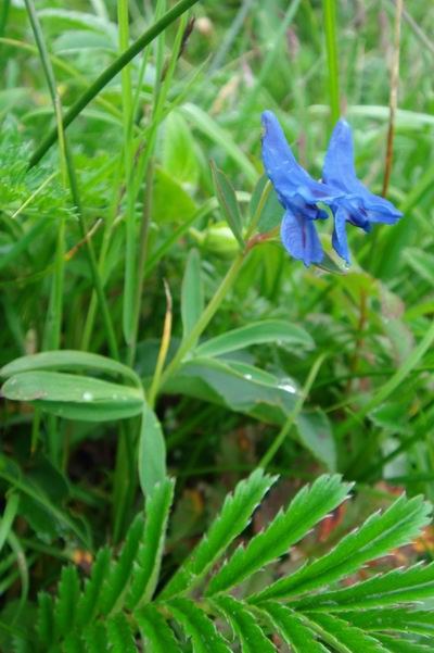 2007��7�� ��������ȸ.jpg