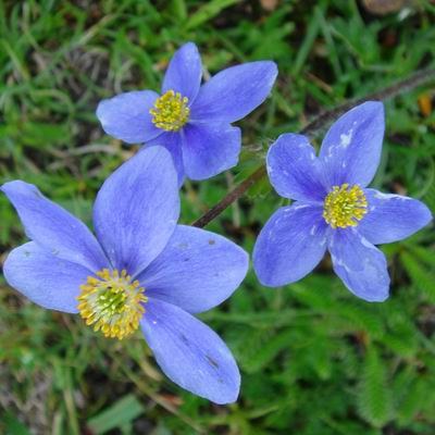 2007��7�� ������.jpg