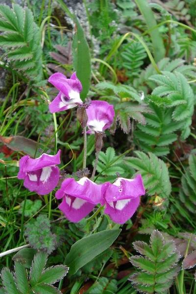 2007��7�� �ּ�������.jpg