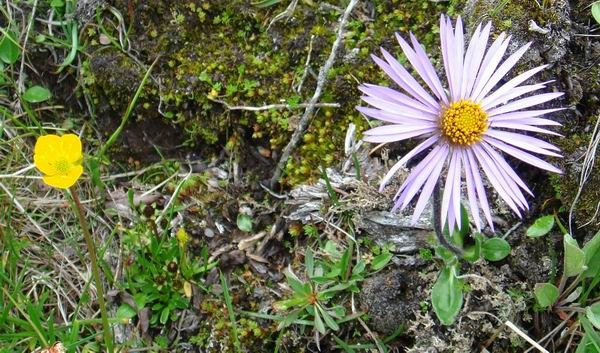 2007��7�� ����.jpg