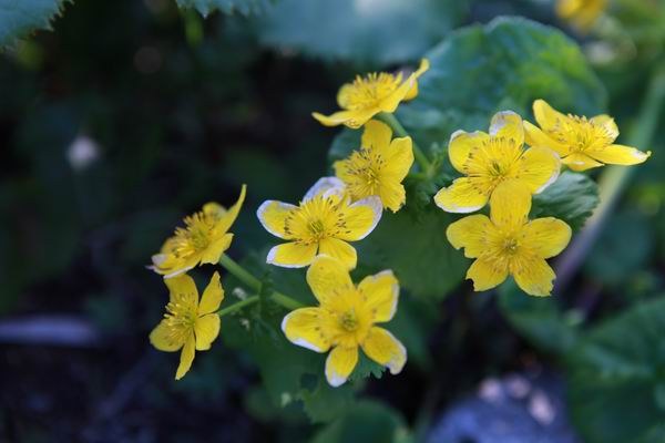 2013��5��ĩ ���ֻ�������.JPG