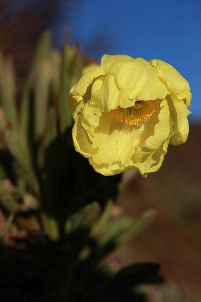 2013��5��ĩ ȫԵҶ������1.JPG