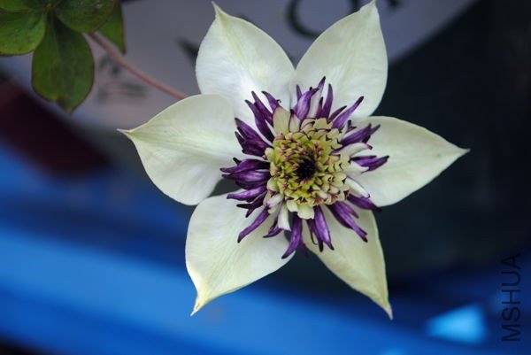 DSC_0395_����.jpg