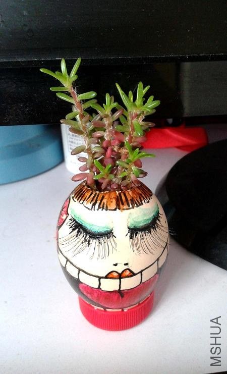 2013-06-09 08.05.11.jpg