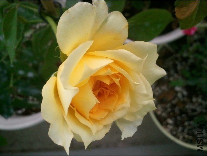 QQ��ͼ20120926094845.jpg