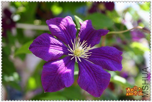 ��Ƭ 168e_����.jpg