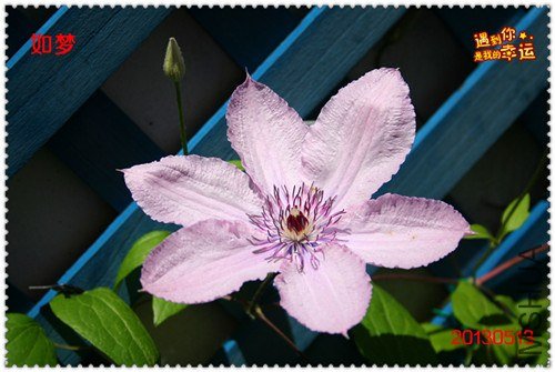 ��Ƭ 169a_����.jpg