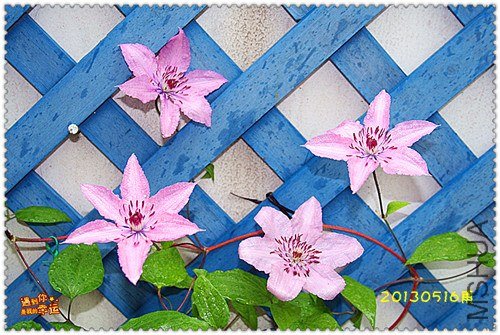 ��Ƭ 169c_����.jpg