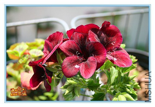 ��Ƭ 019_����.jpg